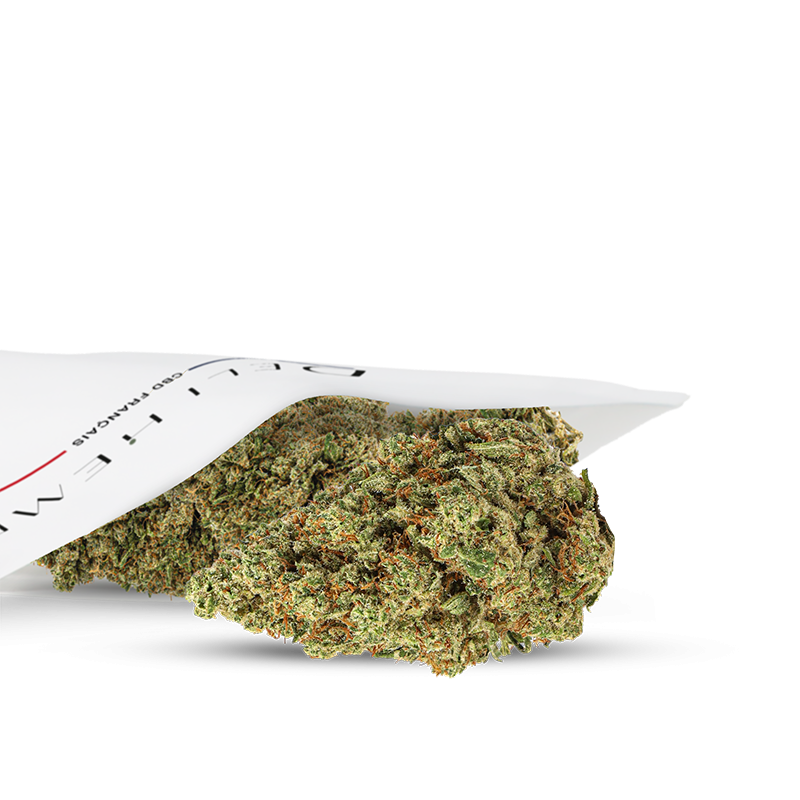 fleurs hydroponie CBD