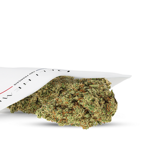 fleurs hydroponie CBD