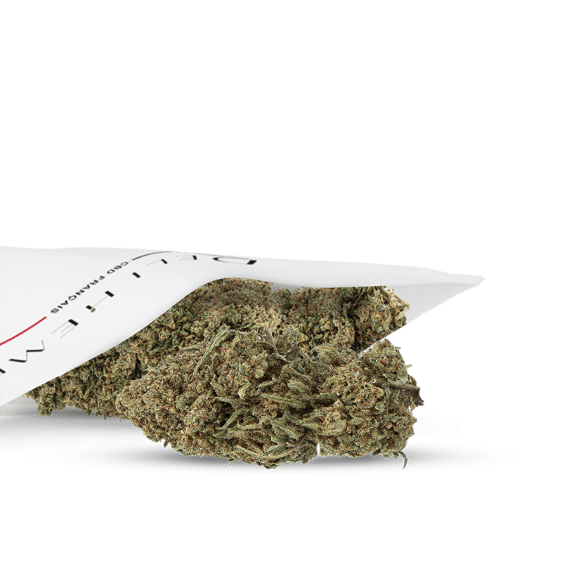 Photo fleur CBD
