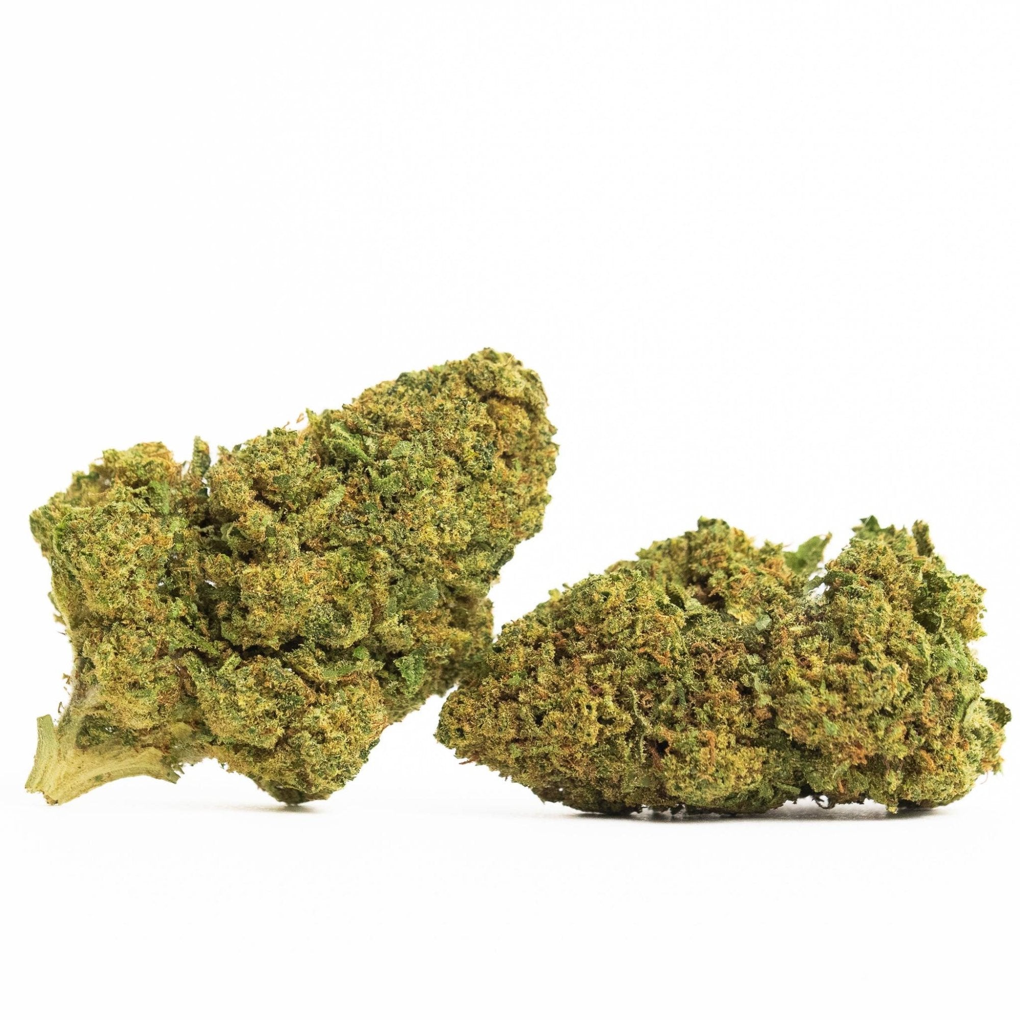 CBD FLEURS - AMNESIA SATIVA