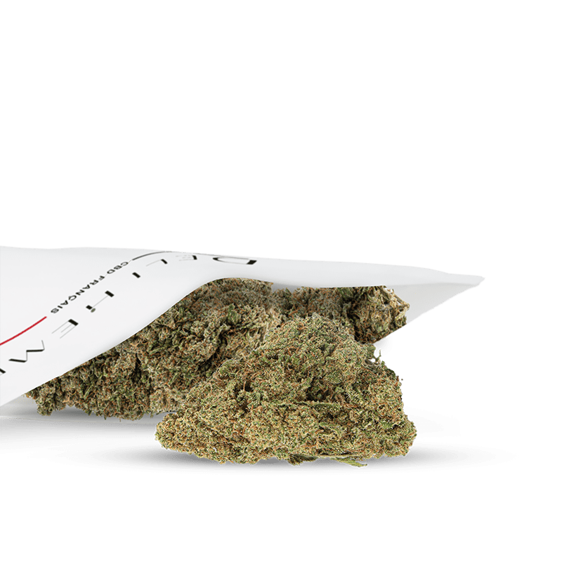 Cbd apple fritter indoor