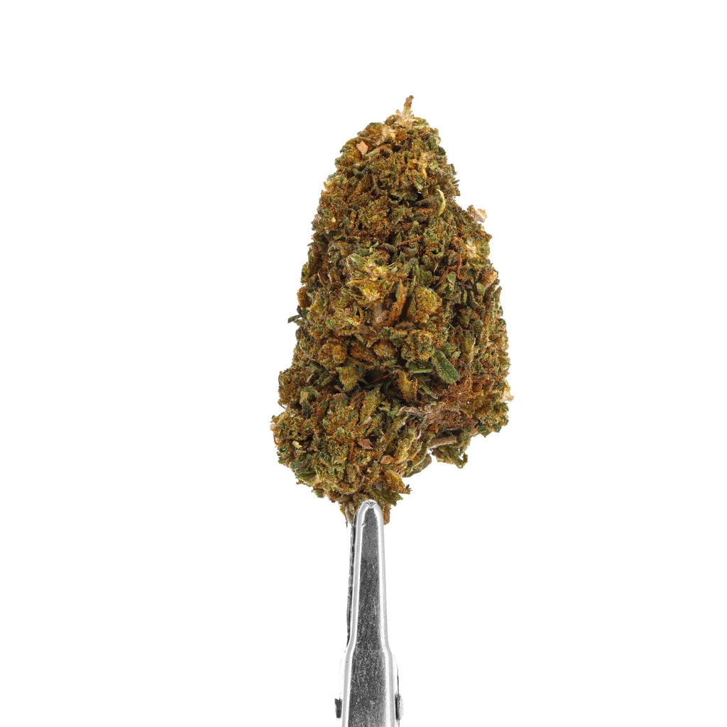 cbd big buddha