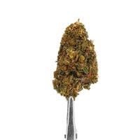 cbd big buddha