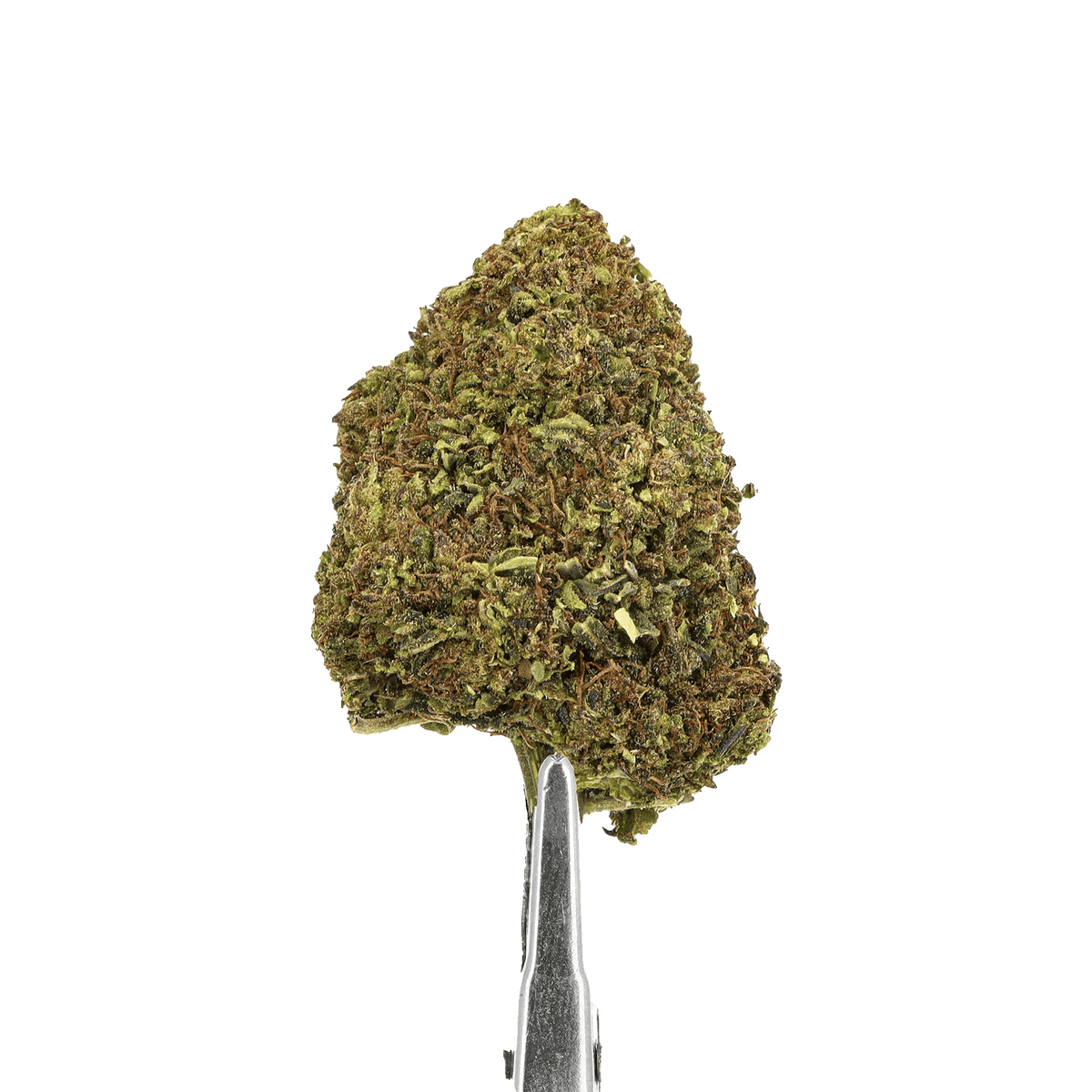 blue cheese cbd