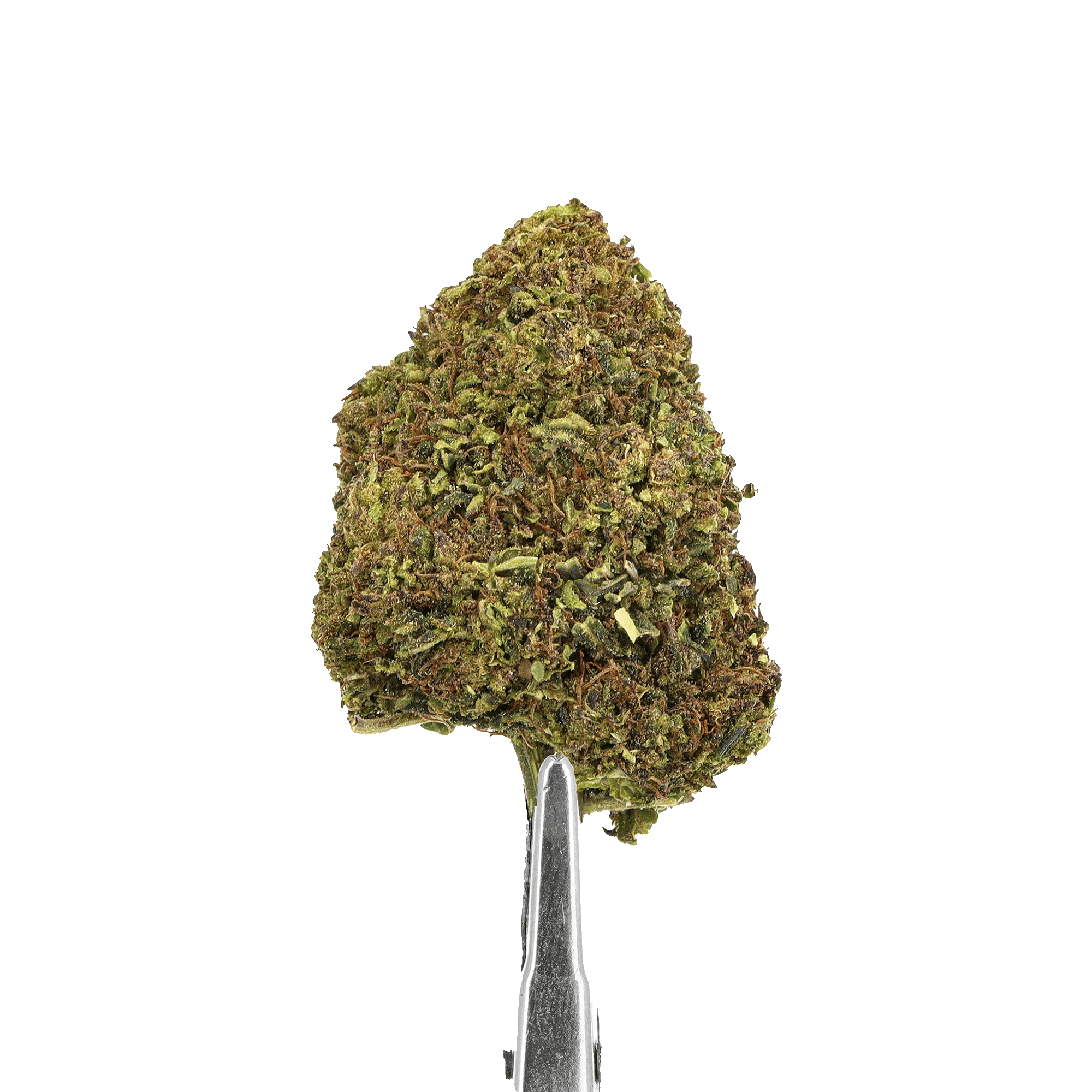 blue cheese cbd