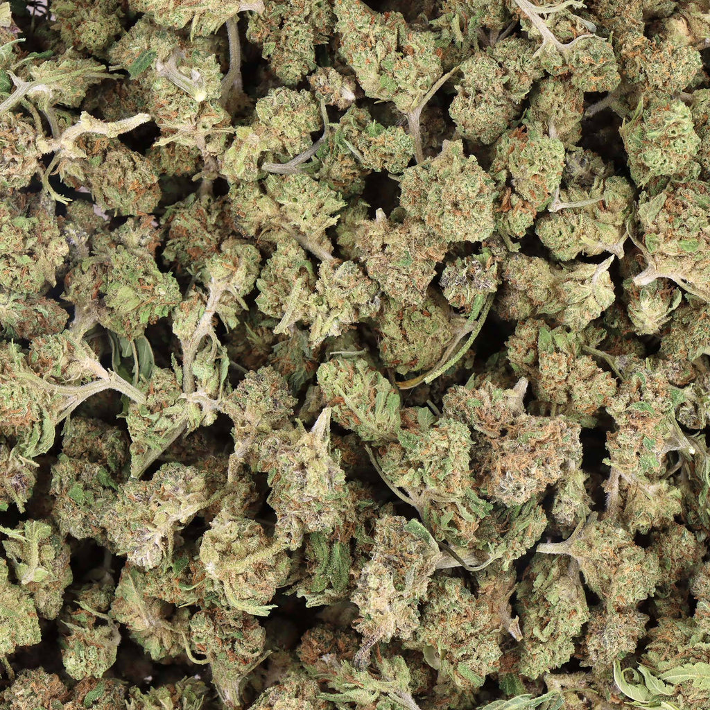 fleurs CBD SMALL BUD BLUEBERRY