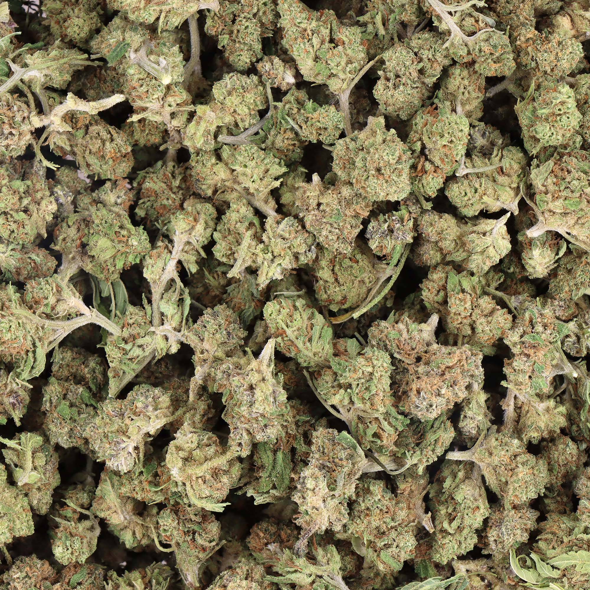 fleurs CBD SMALL BUD BLUEBERRY