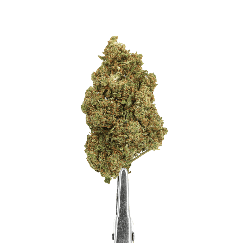 fleur cbd bruce banner