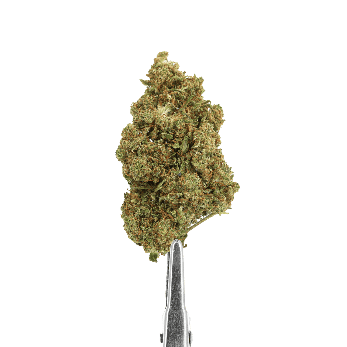 fleur cbd bruce banner