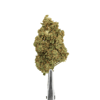 fleur cbd bruce banner