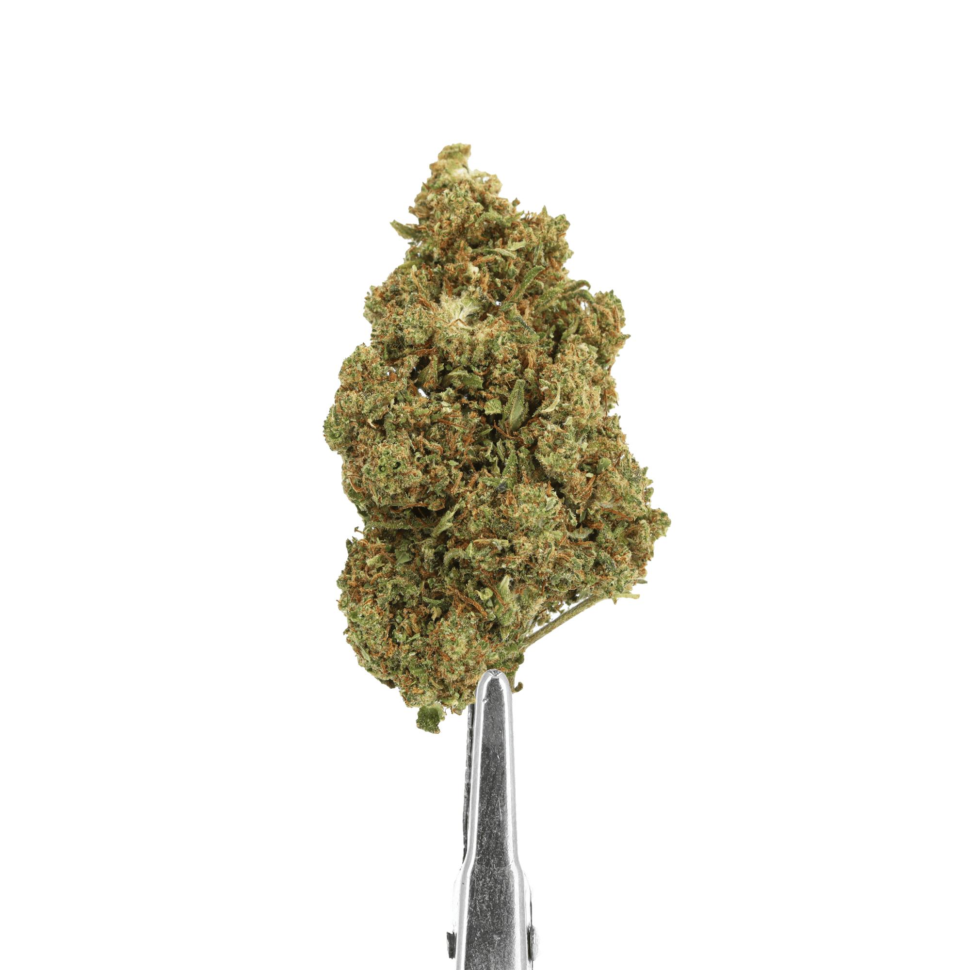 fleur cbd bruce banner