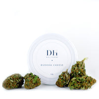 FLEURS CBD - BUDDHA CHEESE (2)