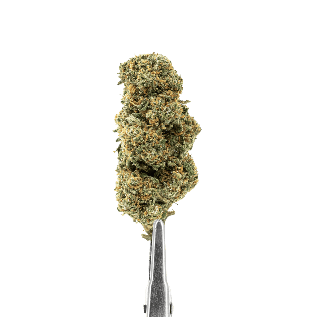 FLEURS CBD - CALI GRAPE - INDOOR