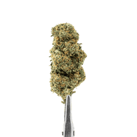 FLEURS CBD - CALI GRAPE - INDOOR