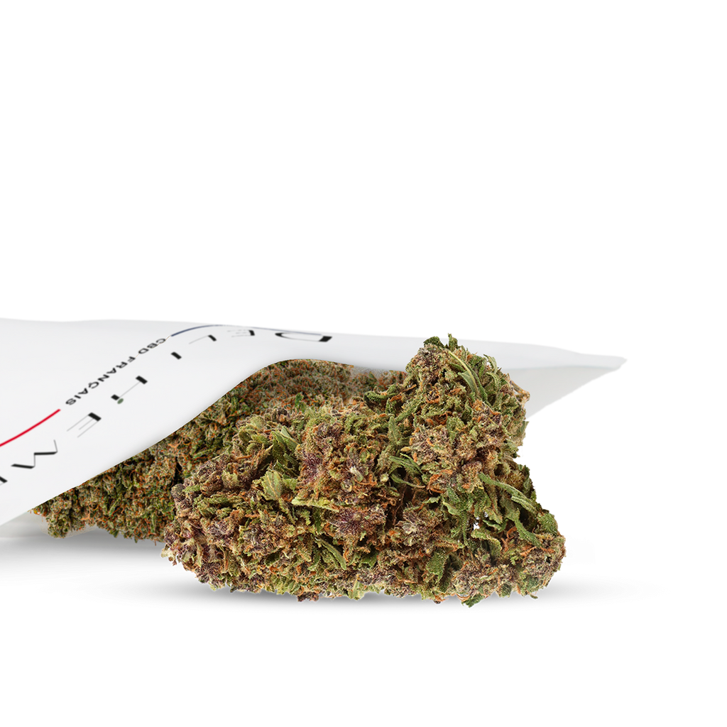 fleurs pas cher thc 0.3%