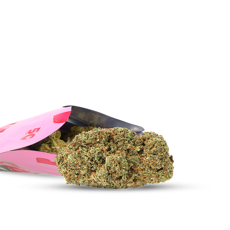 CANNA KISS YOU 2 - CBD EDITION SAINT VALENTIN