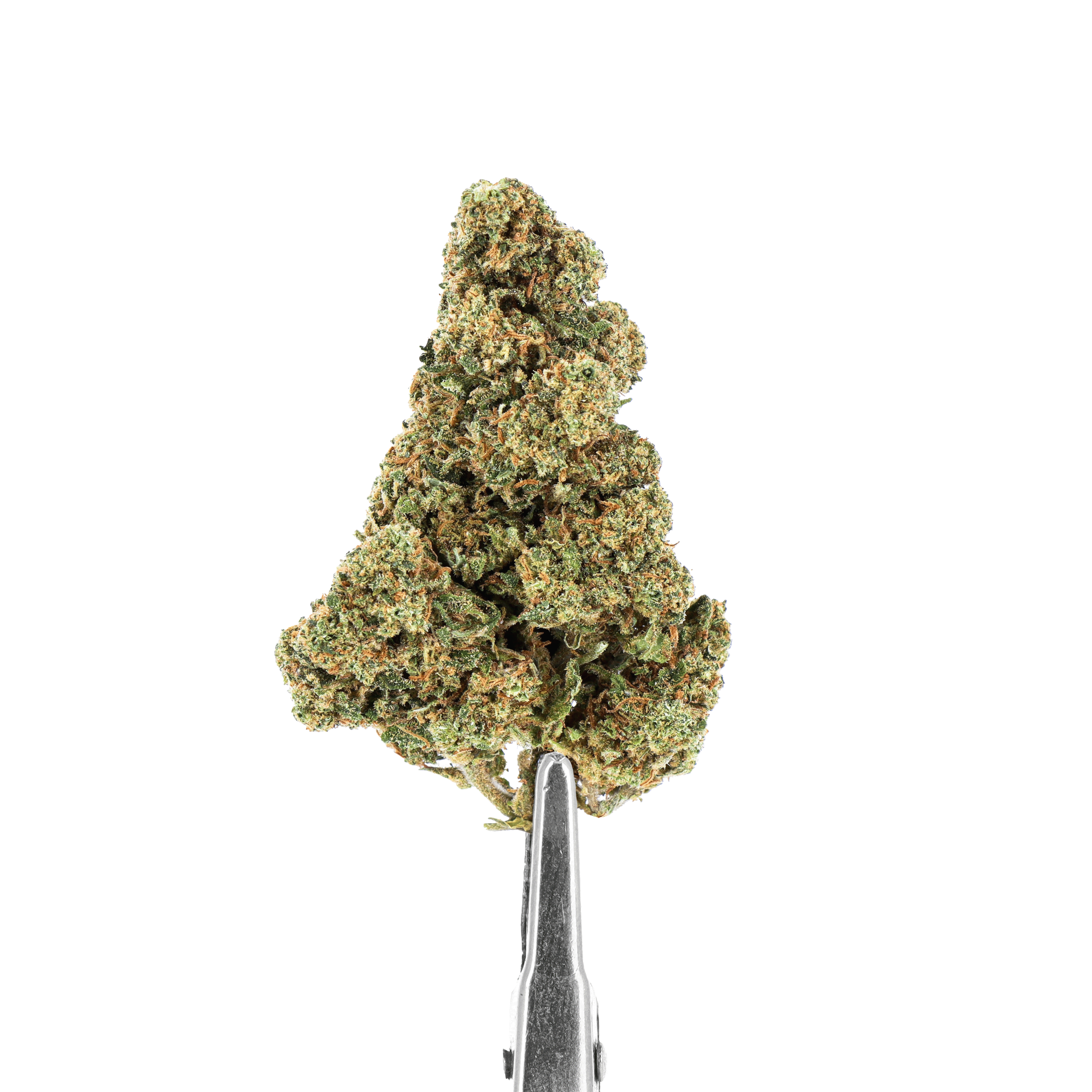 Pineapple CBD