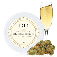 Fleur CBD champagne kush