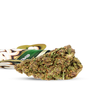 Cadeau fleurs CBD