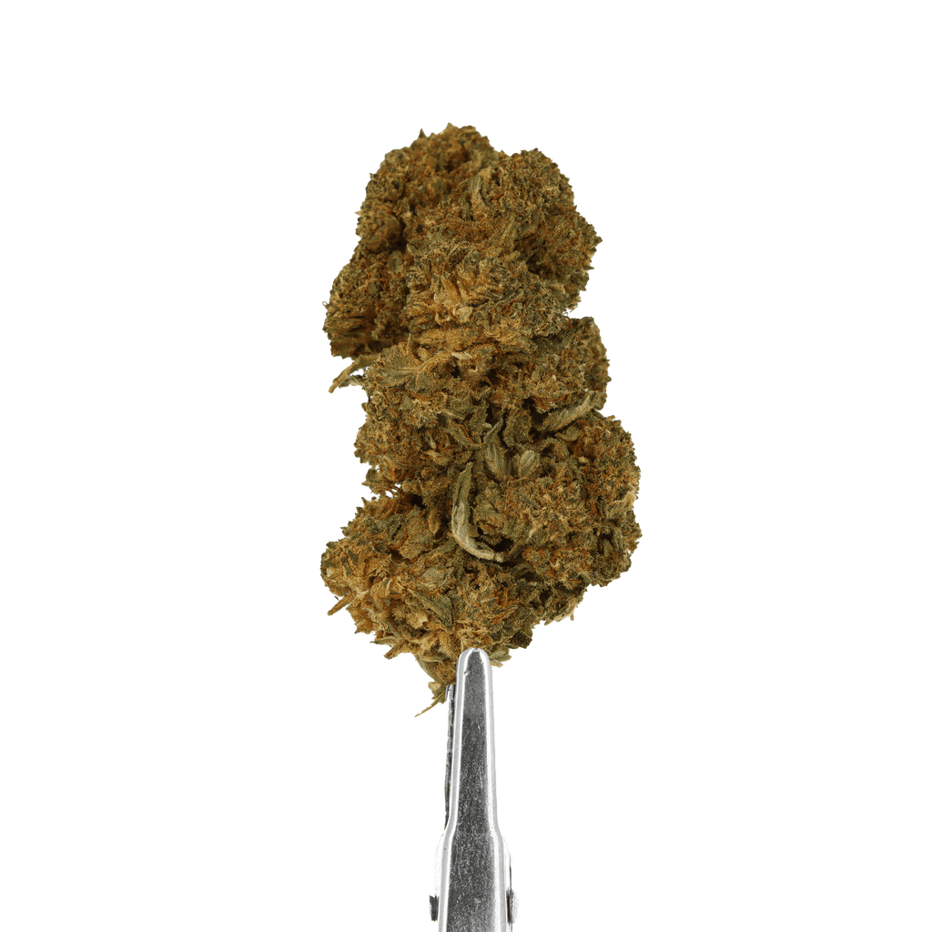 cherry gelato cbd
