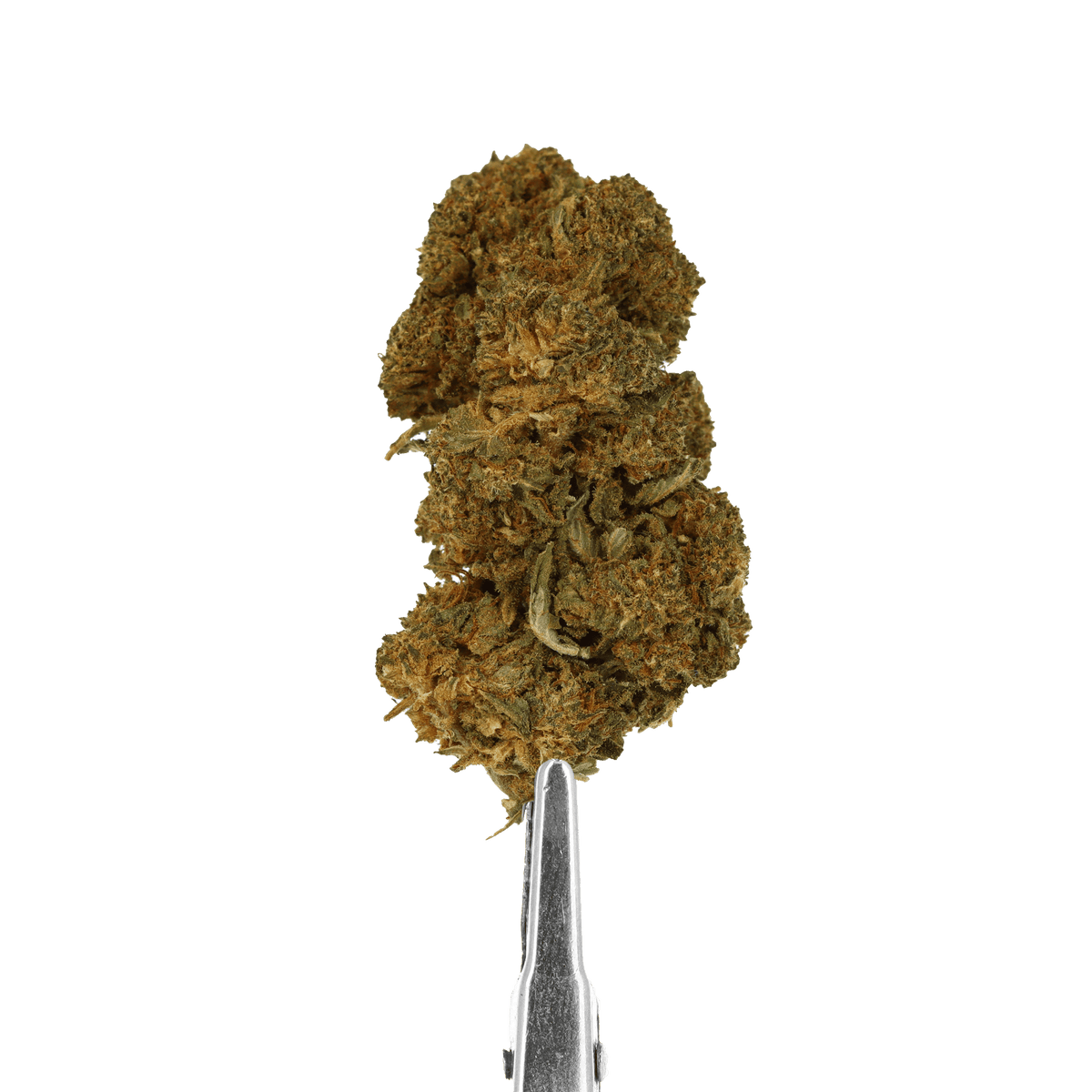 cherry gelato cbd