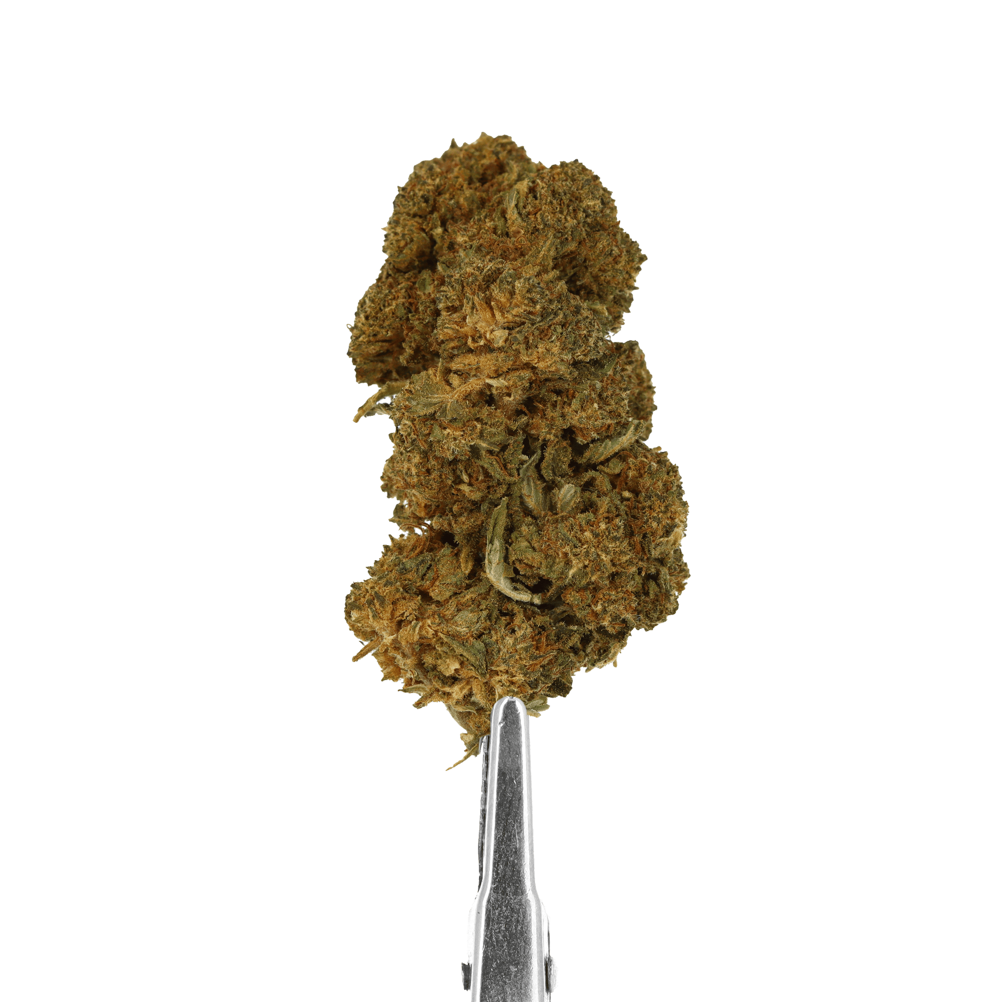 cherry gelato cbd