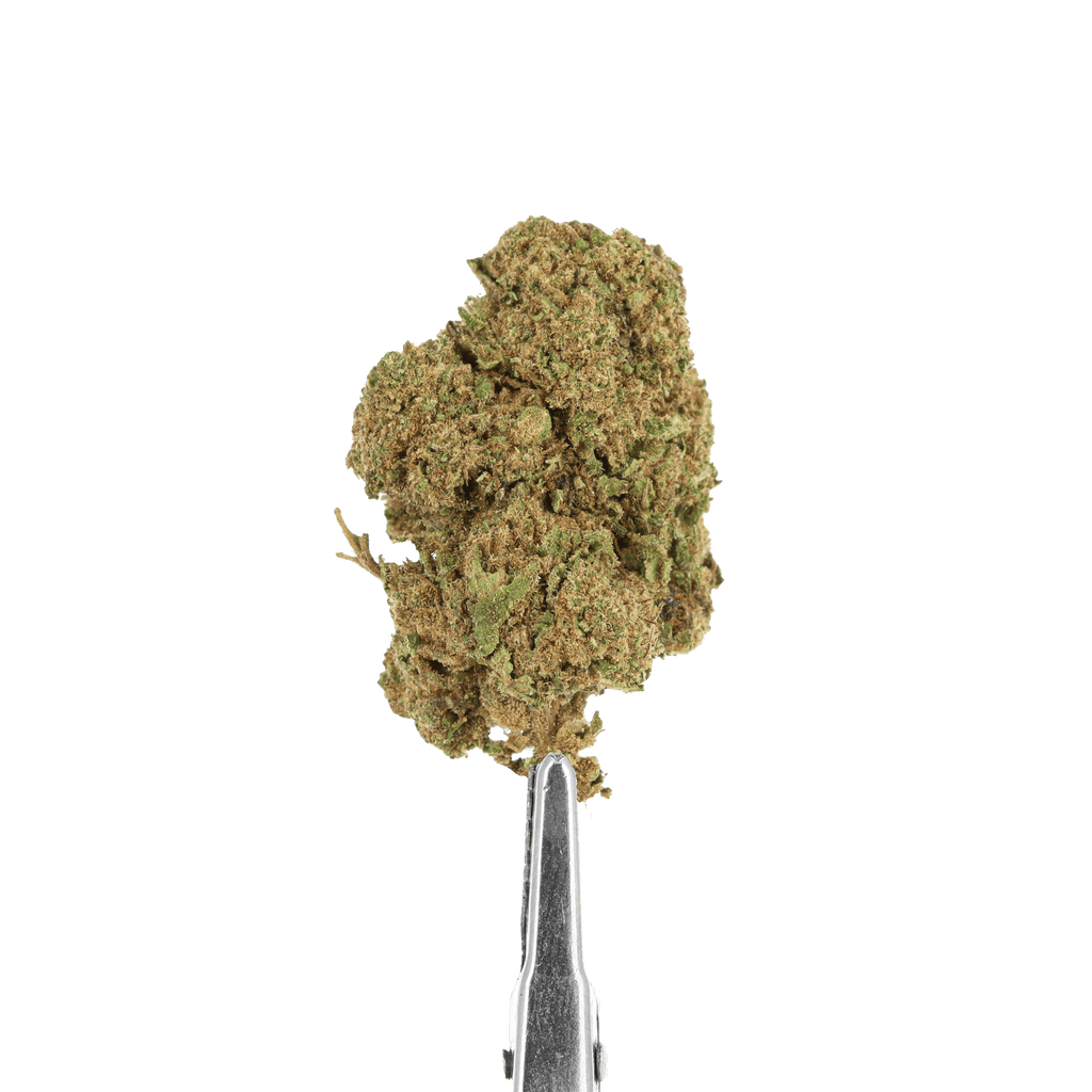 CHOCOLOPE CBD