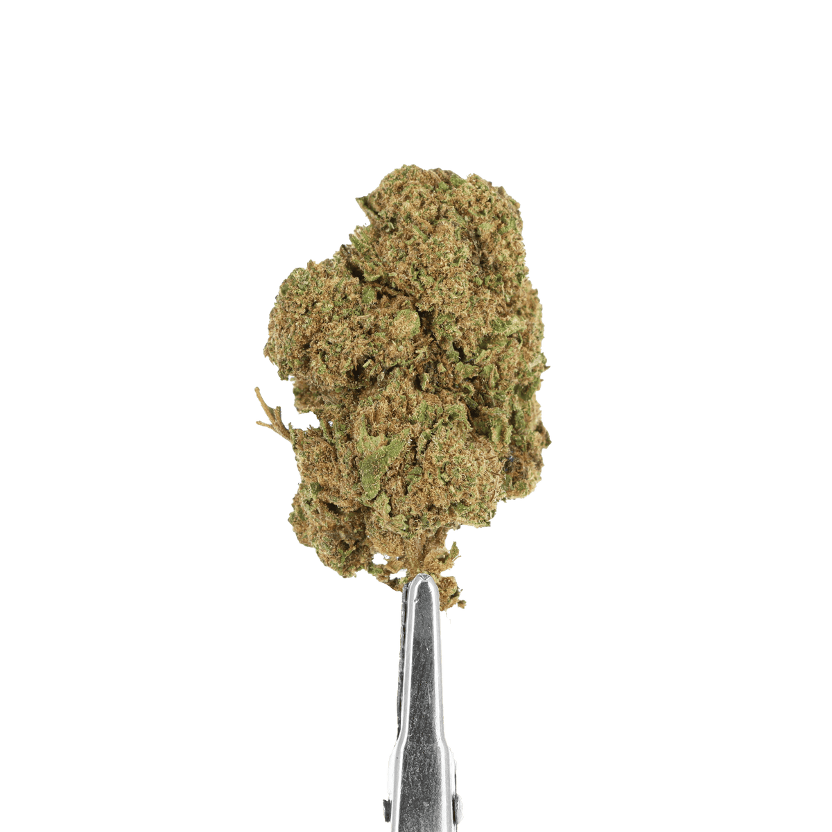 CHOCOLOPE CBD