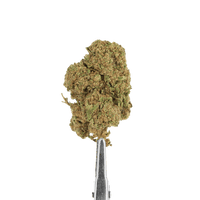 CHOCOLOPE CBD