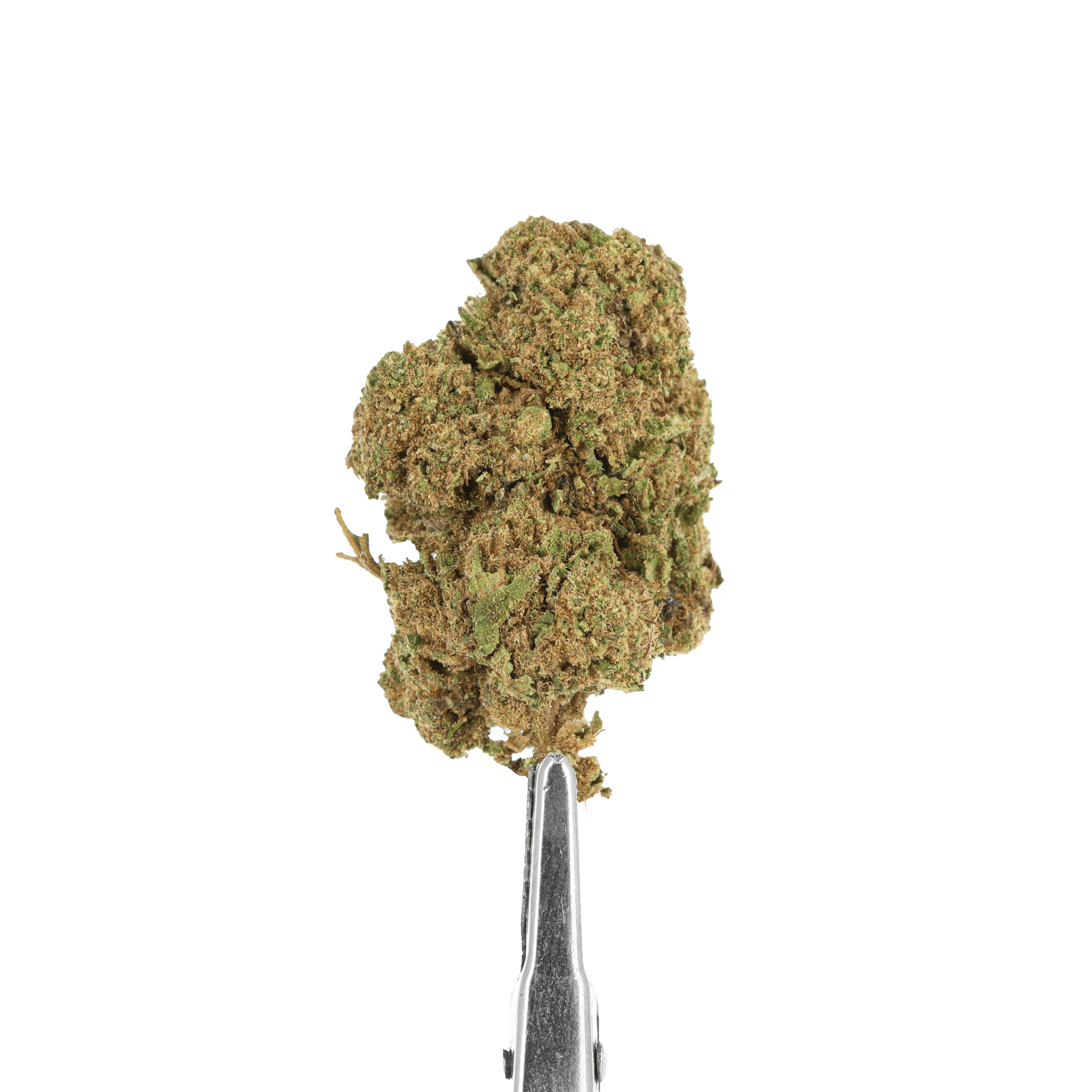 CHOCOLOPE CBD
