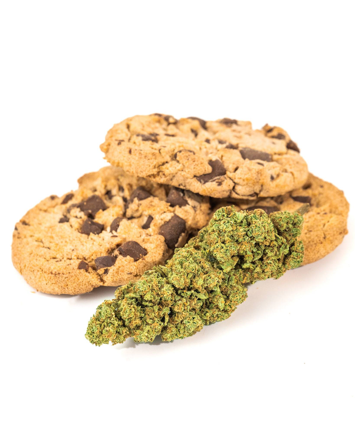 Variété de Noël - Fleurs de CBD Christmas cookie