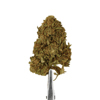 fleur cbd cookie