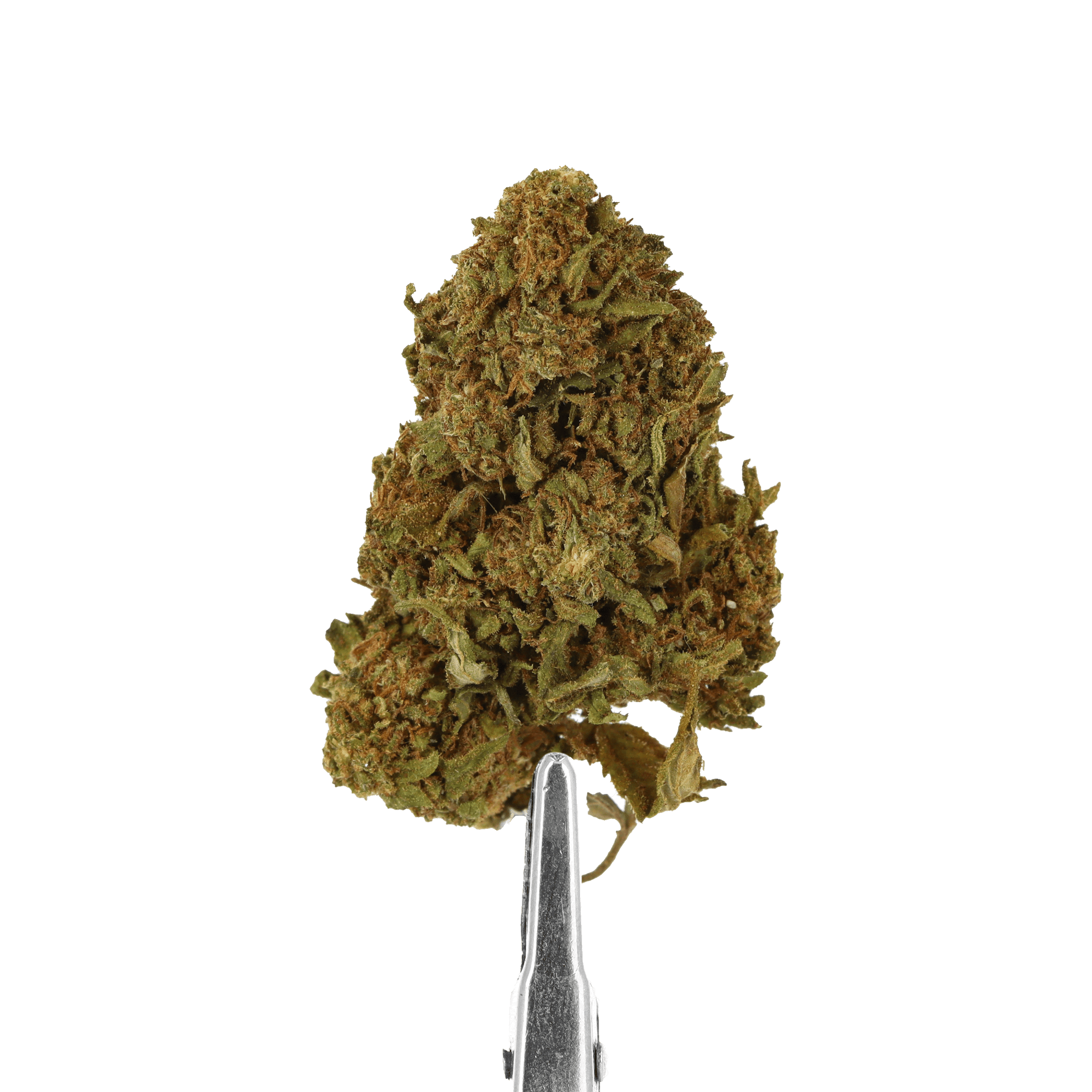 fleur cbd cookie