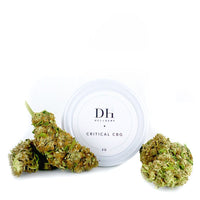 FLEUR CBD CRITICAL CBG