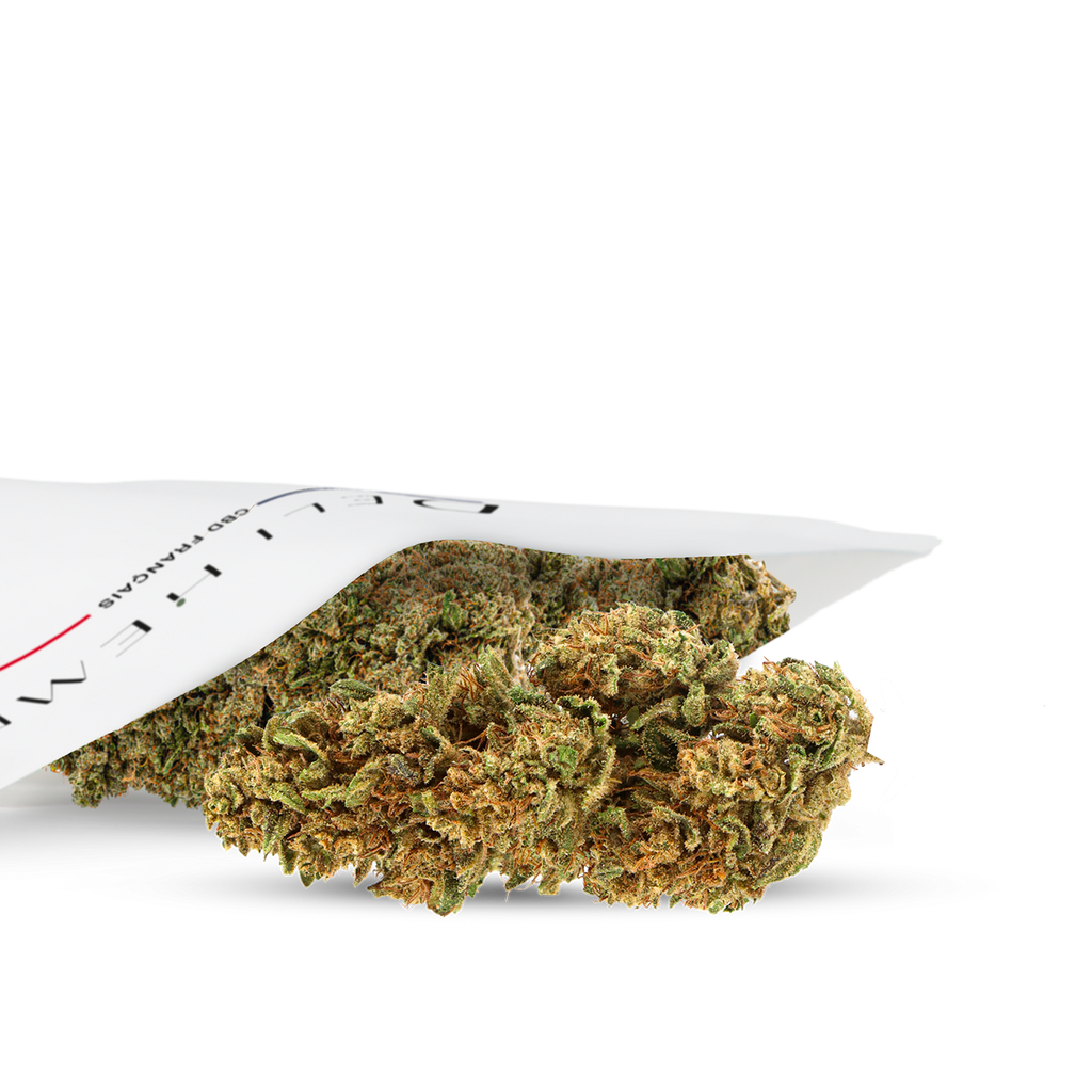 FLEURS CBD en gros