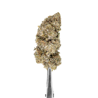 Cbd crystal amnesia