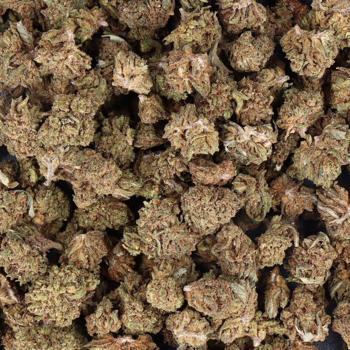 Small bud pas cher