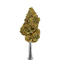 forbidden fruit deli hemp