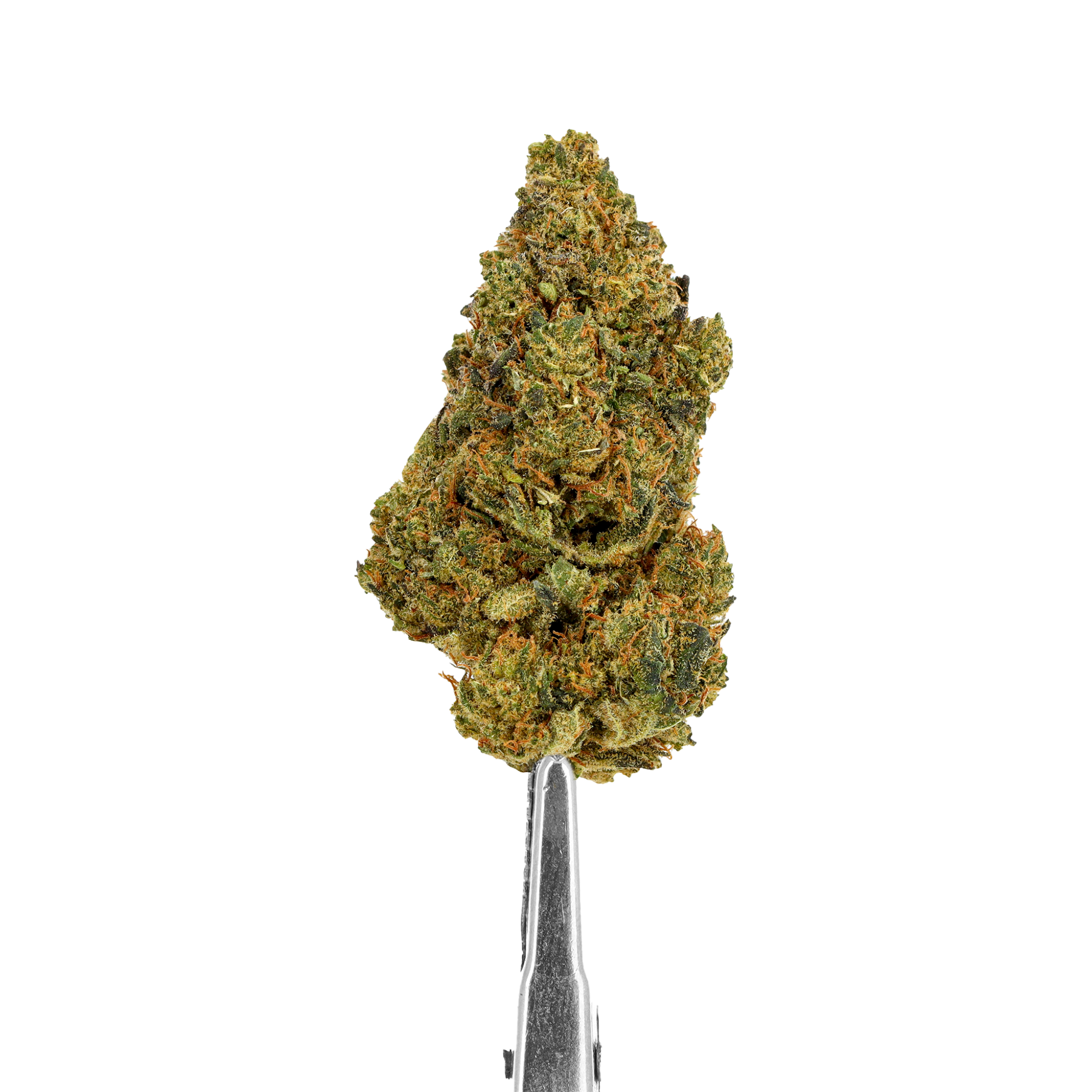forbidden fruit deli hemp