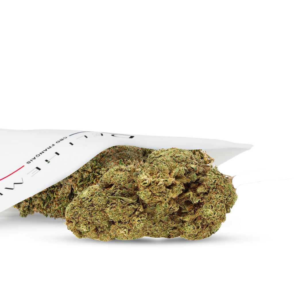 fleurs cbd premium