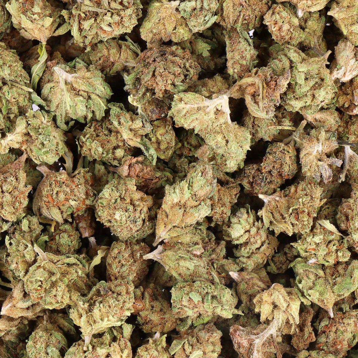 GELATO small bud cbd