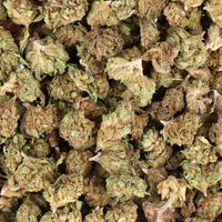 GELATO small bud cbd