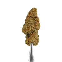 FLEURS CBD - GELONADE