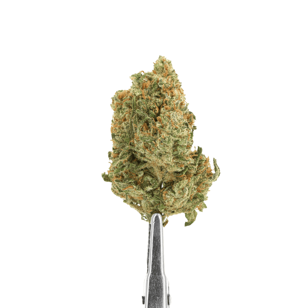 fleurs de cbd girls scout cookies