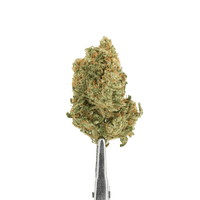 fleurs de cbd girls scout cookies
