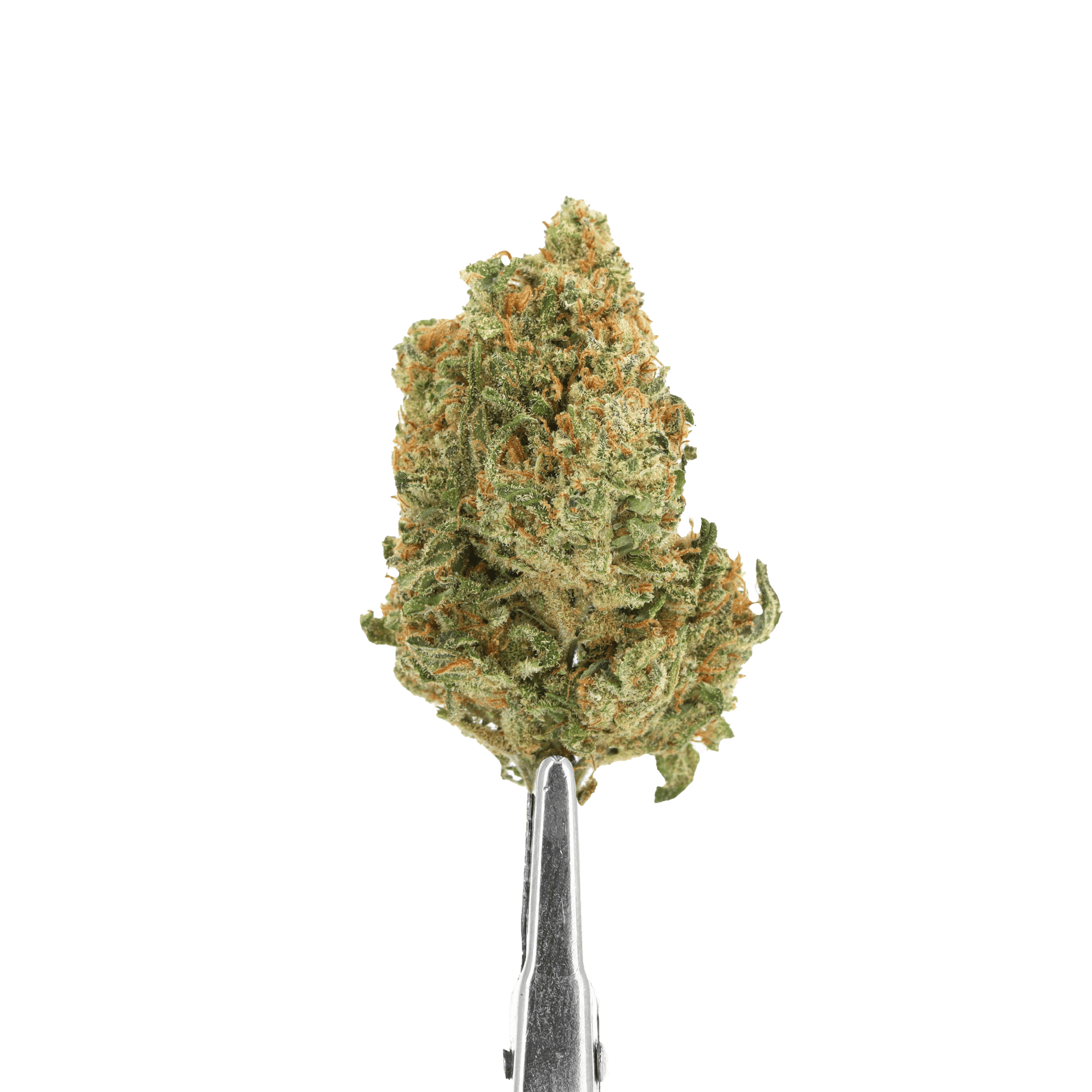 fleurs de cbd girls scout cookies
