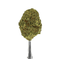 GMO cookie cbd