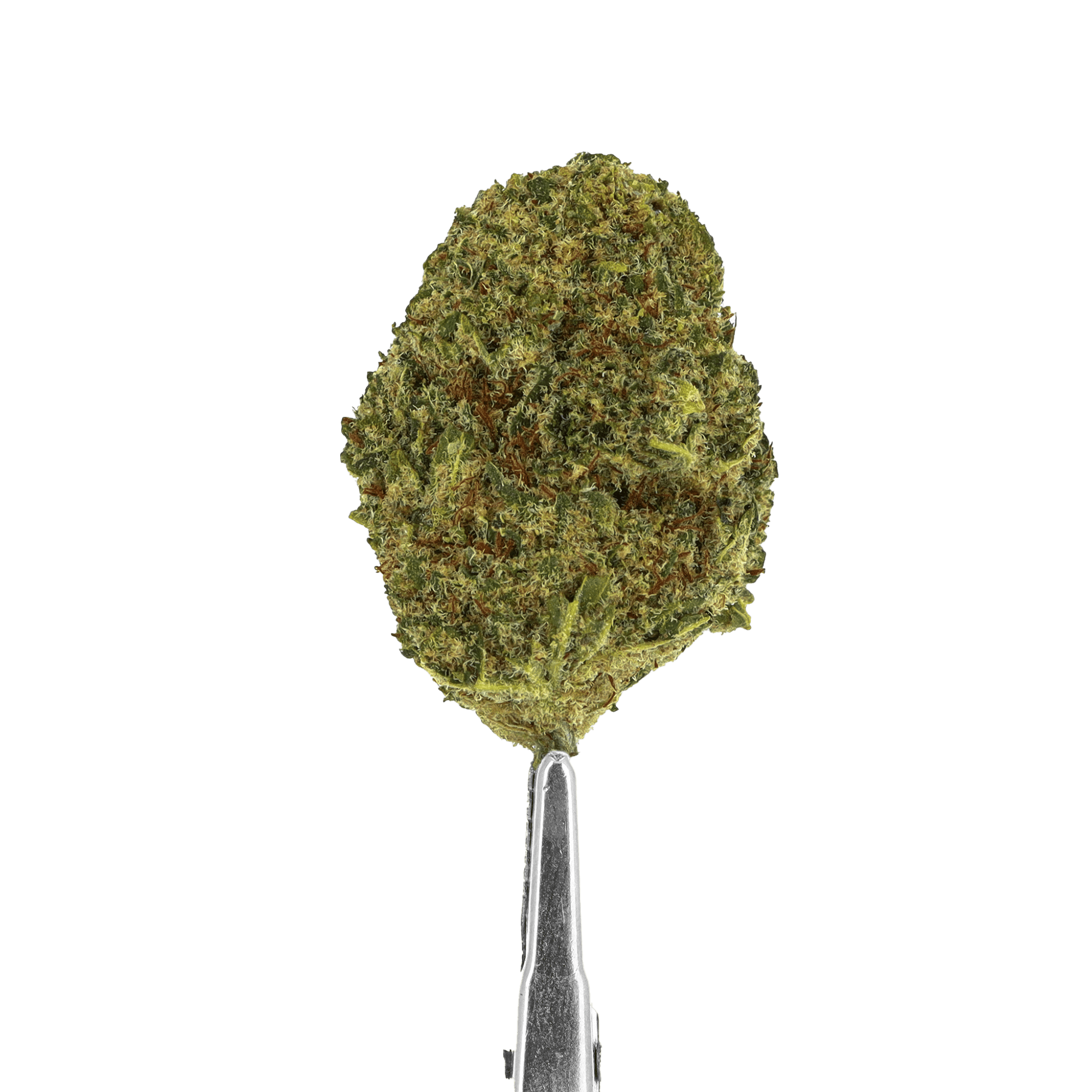 GMO cookie cbd
