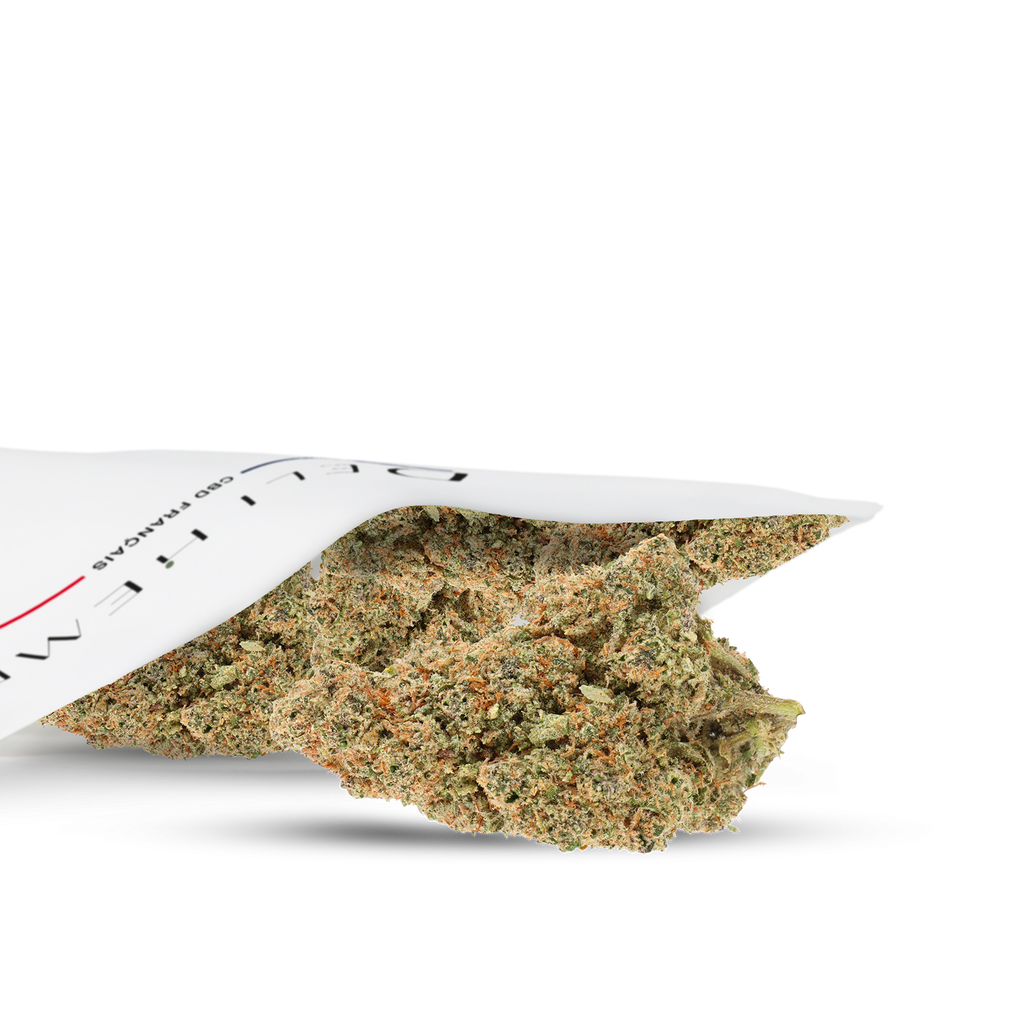 FLEURS CBD - GUAVA GELATO - HYDROCULTURE - DELI HEMP