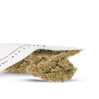 FLEURS CBD - GUAVA GELATO - HYDROCULTURE - DELI HEMP